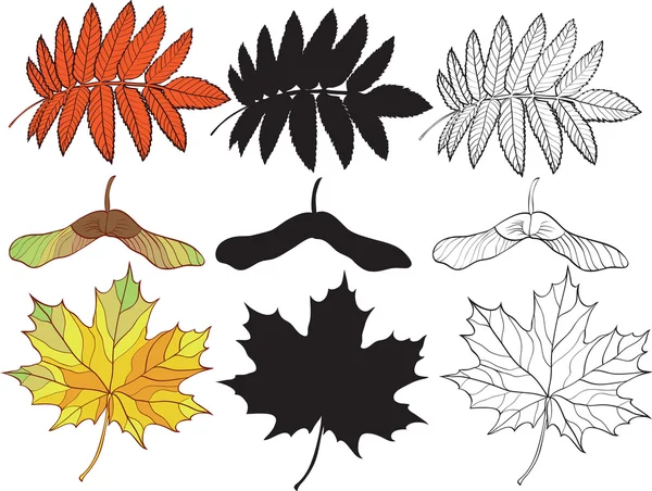 Набір осінніх листя — стоковий вектор