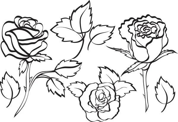 Ensemble de roses — Image vectorielle