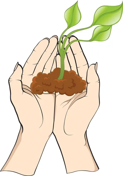 Roślin w ręce — Wektor stockowy