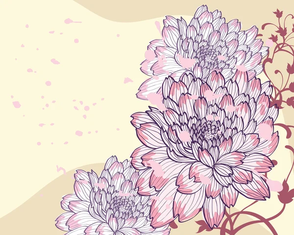 装飾的な菊の背景 — ストックベクタ