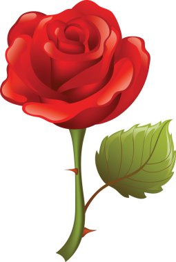 Red rose clipart