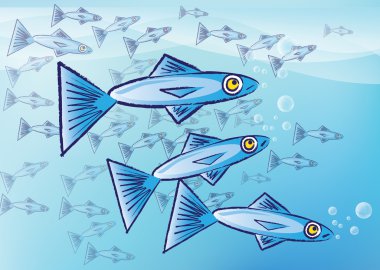 Sardines clipart