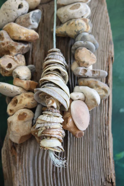 Sea Shells and Stones — Stock Photo, Image