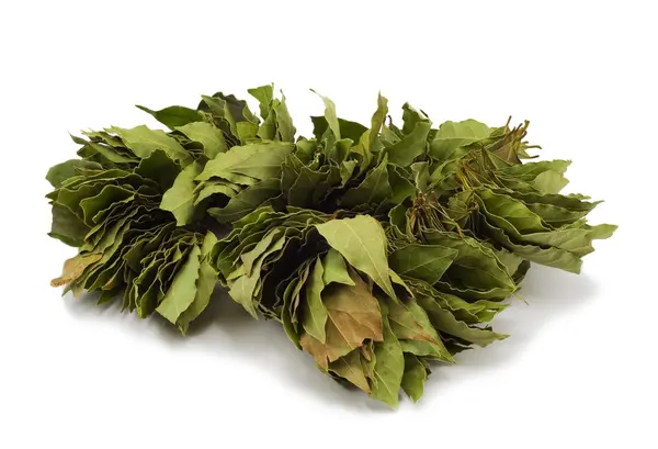 Stock image The big sheaf of a bay leaf