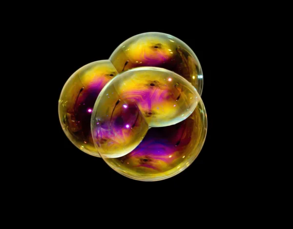 Мильна бульбашка Стокова Картинка
