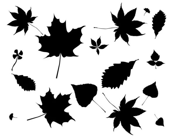 Siluetas negras de hojas — Vector de stock