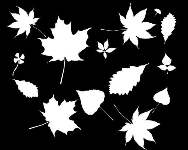 Siluetas blancas de hojas — Vector de stock