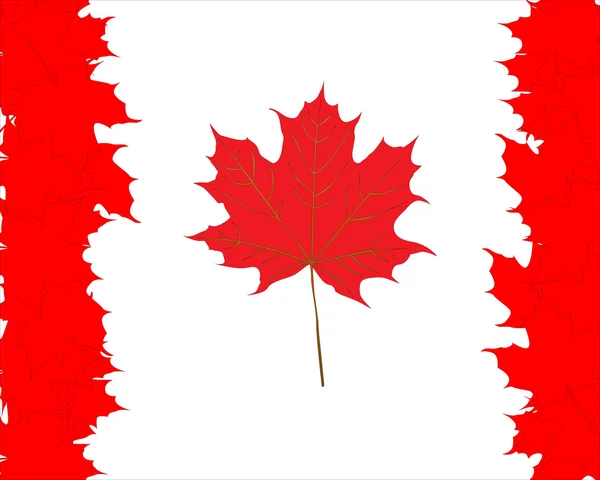 Symbol för Kanada från lönn löv — Stock vektor
