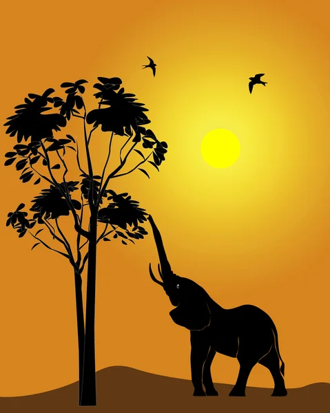 Zwart silhouet van een olifant — Stockvector