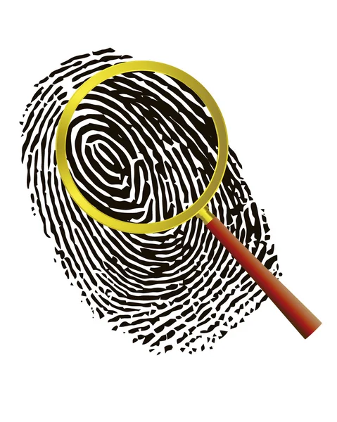 stock vector Fingerprint under a magnifier