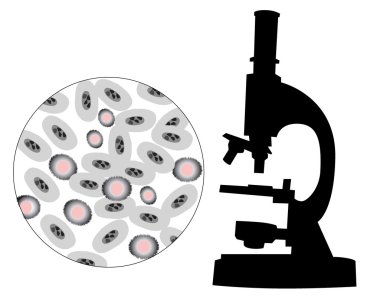 mikroskop silüeti bakteri görüntüsü ile