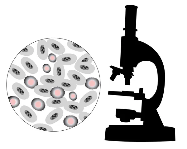 Silueta de un microscopio con la imagen de una bacteria — Archivo Imágenes Vectoriales