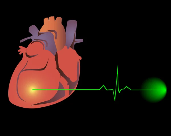 Coeur Avec Cardiogramme Sur Fond Noir — Image vectorielle