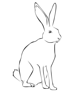 Tracing of a hare on a white background clipart