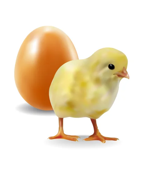 Gelbes Huhn mit Ei — Stockvektor