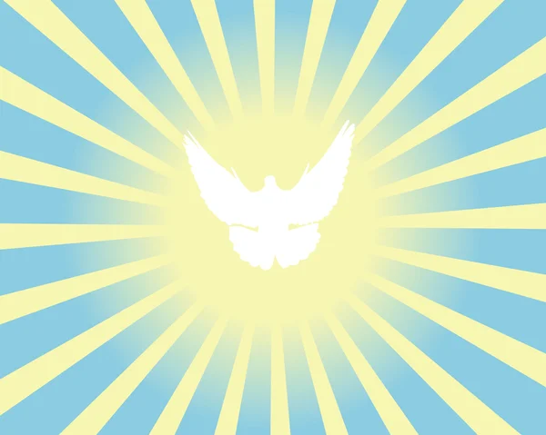Pigeon blanc contre les rayons du soleil — Image vectorielle