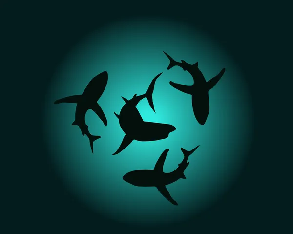 Silhuetter av hajar — Stock vektor
