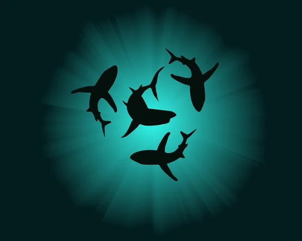 Silhouettes Requins Dans Fond Eau — Image vectorielle