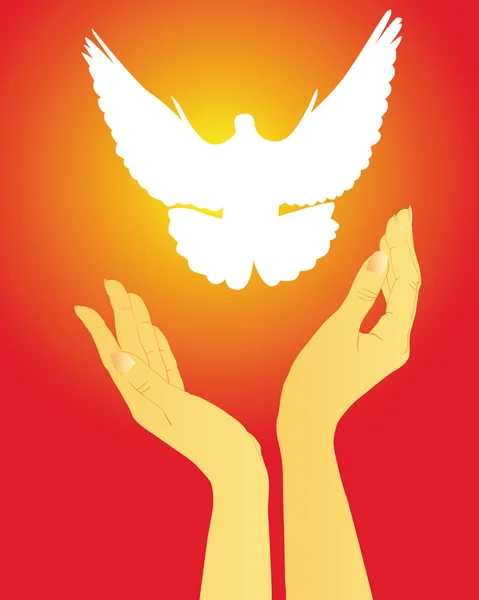 Mains libérant une colombe blanche — Image vectorielle