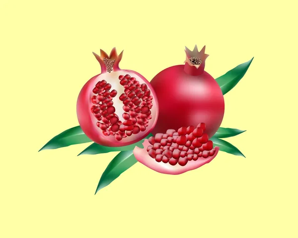 Red pomegranate with leaves — Stock Vector