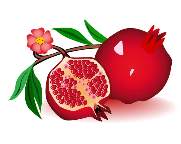 Grenats rouges aux fleurs — Image vectorielle