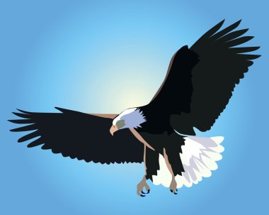 Flying bald eagle clipart