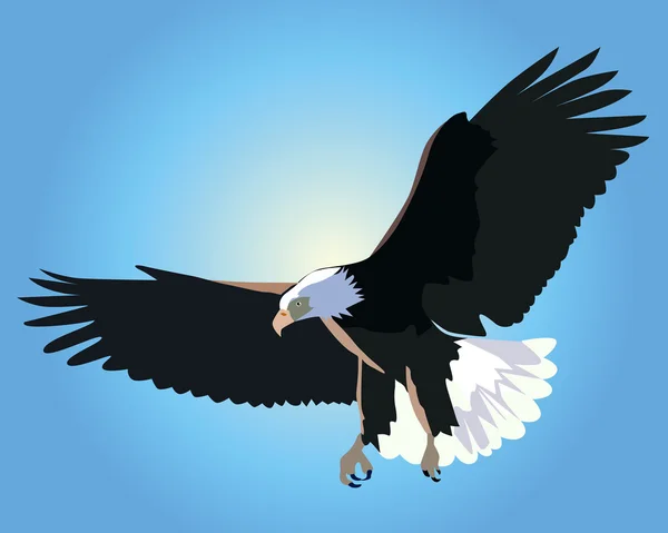 Águila calva voladora — Vector de stock