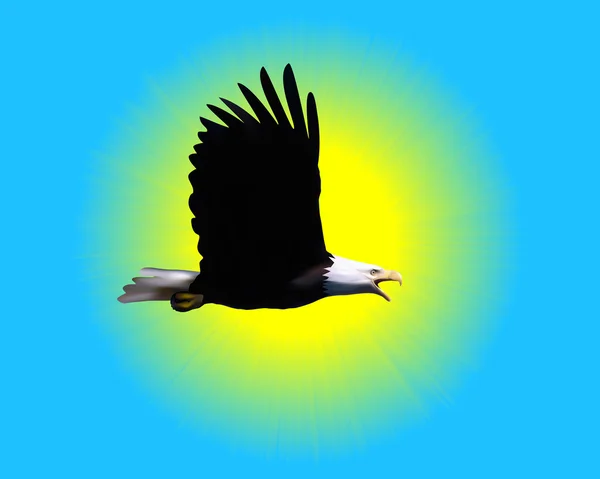 Águila calva — Archivo Imágenes Vectoriales
