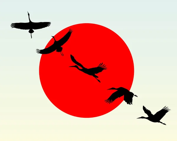Silhouettes of flying cranes — Stock Vector