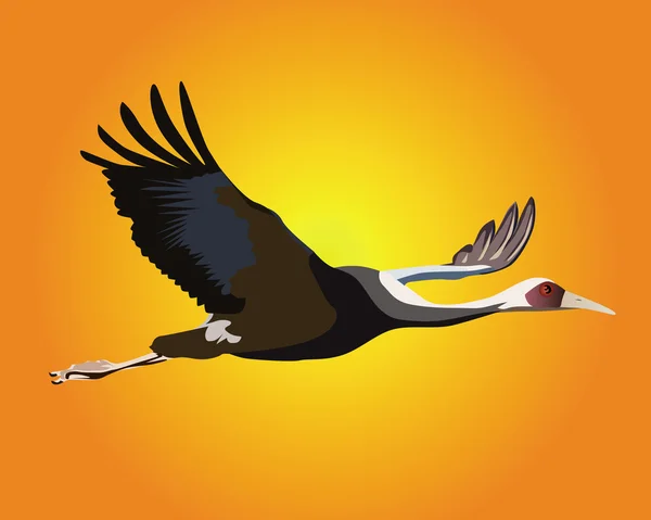 Heron flying — Stock Vector