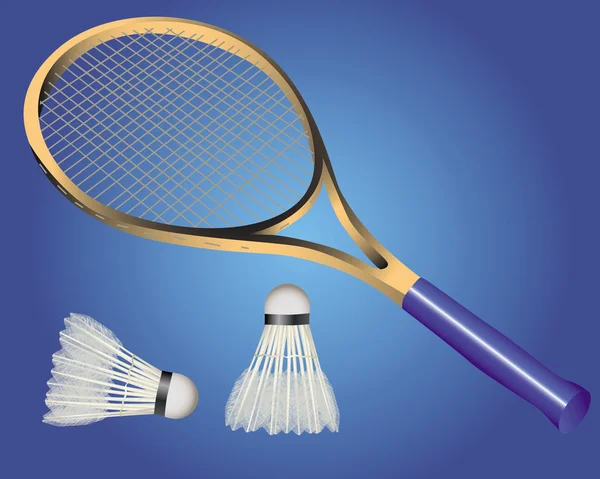 Racket och två shuttle badminton — Stock vektor