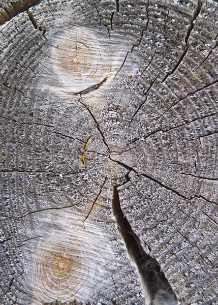 Fundal tăiat din lemn . — Fotografie, imagine de stoc