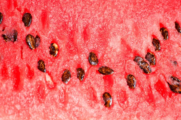 stock image Watermelon delicious cut diet food dessert