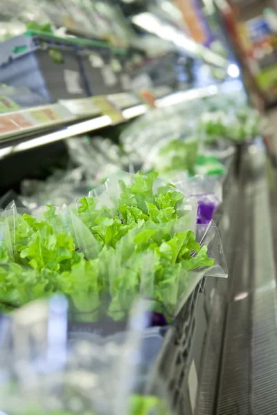 stock image Lettuce at the supermarket