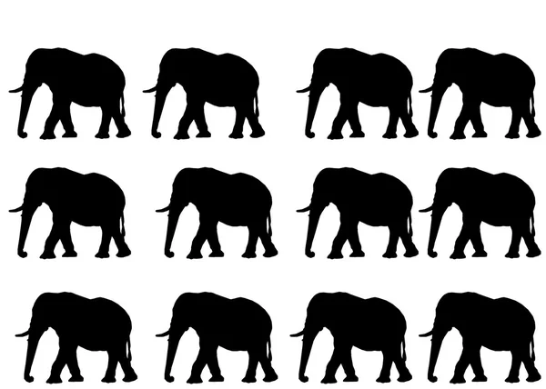 हाथियों — स्टॉक फ़ोटो, इमेज