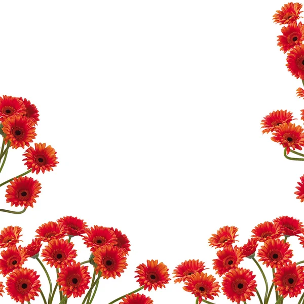 Red flowers letter — Stock Photo, Image