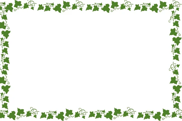 Frame Grapevine Leaves White Background — Stock Photo, Image