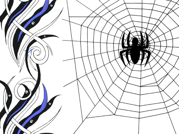 Araña Web Ilustraciones — Foto de Stock