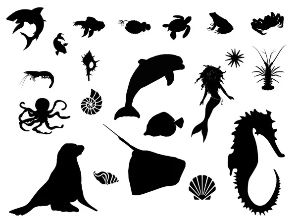 Sea world silhouette — Stock Photo © gortan #5102224