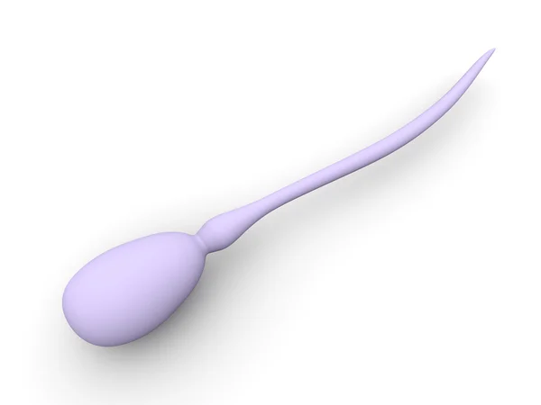 Sperm Cell — Stock Photo, Image