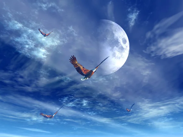 Volo dell'aquila — Foto Stock