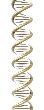 Golden DNA Helix clipart