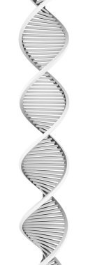 Metal DNA clipart
