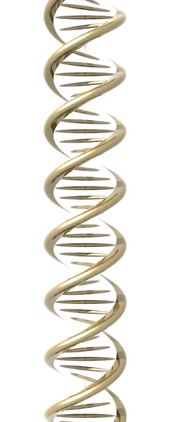 Спіралі ДНК Золотий — стокове фото