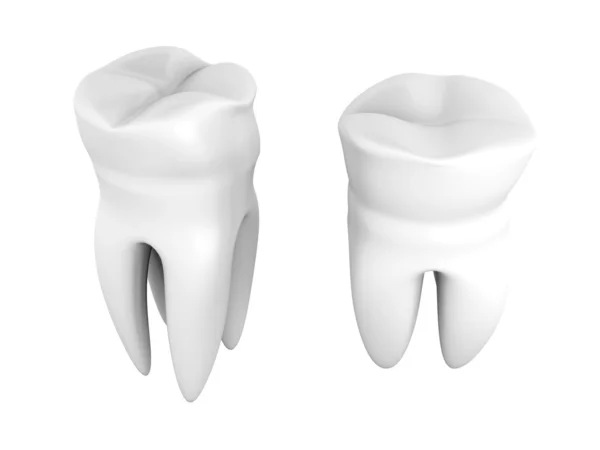 stock image Teeth