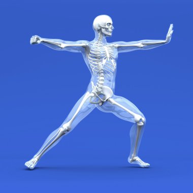 Anatomy - Martial Arts clipart