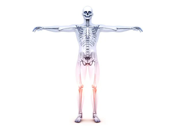 Knie pijn - anatomie — Stockfoto