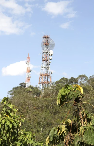 Anteny w dżungli — Zdjęcie stockowe