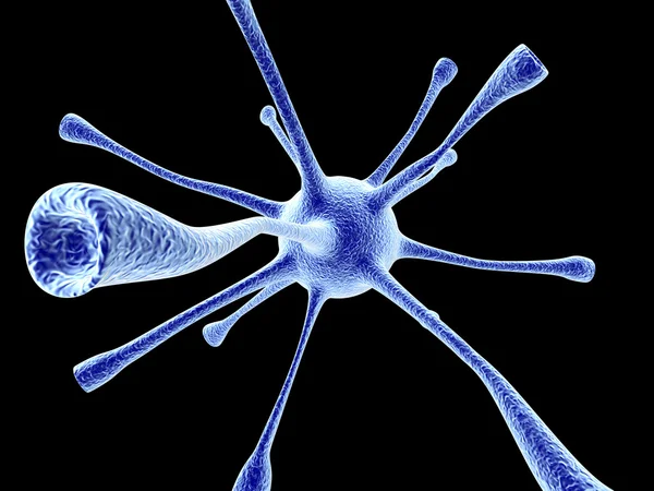 Νευρωνική κελί — Φωτογραφία Αρχείου