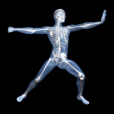 Anatomy - Martial Arts clipart